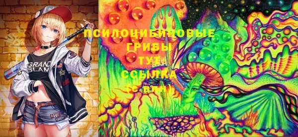 apvp Костерёво