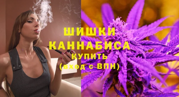 PSILOCYBIN Корсаков