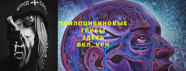 apvp Костерёво