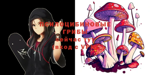 apvp Костерёво