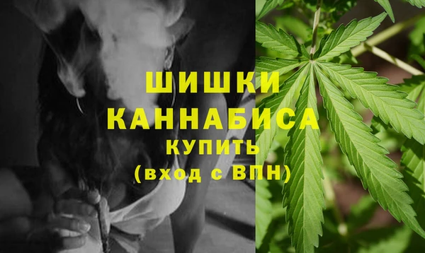 apvp Костерёво