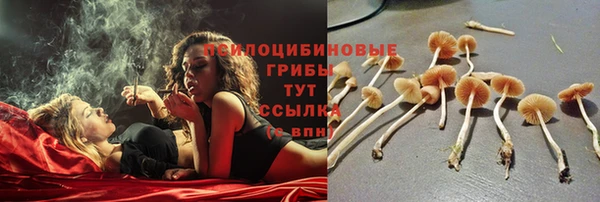 PSILOCYBIN Корсаков