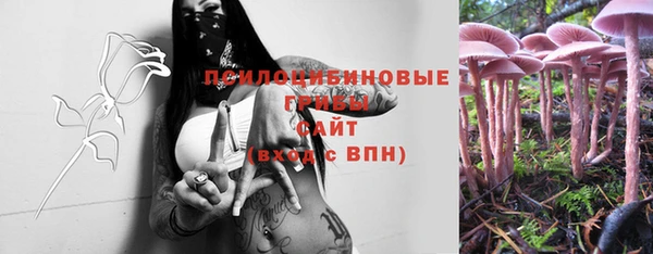 apvp Костерёво