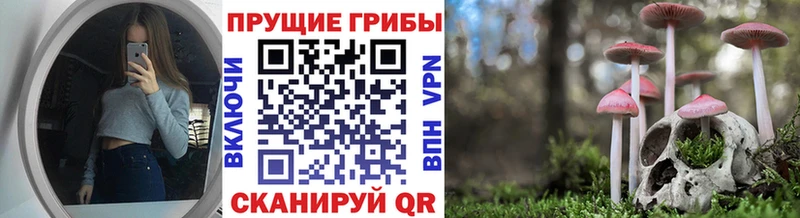 Галлюциногенные грибы прущие грибы  Купить  Холмск 